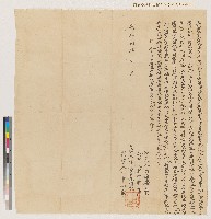 藏品(咸豐七年許協記向林宅立典契（典期十年）)的圖片